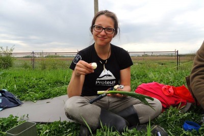 Field lunch - Cheers